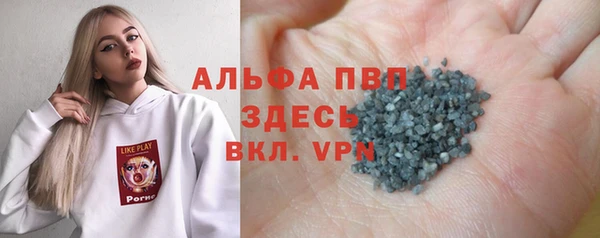 крисы Алзамай
