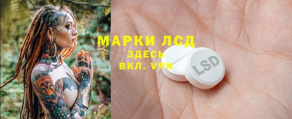 крисы Алзамай
