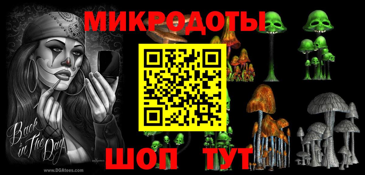 Псилоцибиновые грибы прущие грибы  Вход с VPN  Когалым  Псилоцибиновые грибы Psilocybe 
